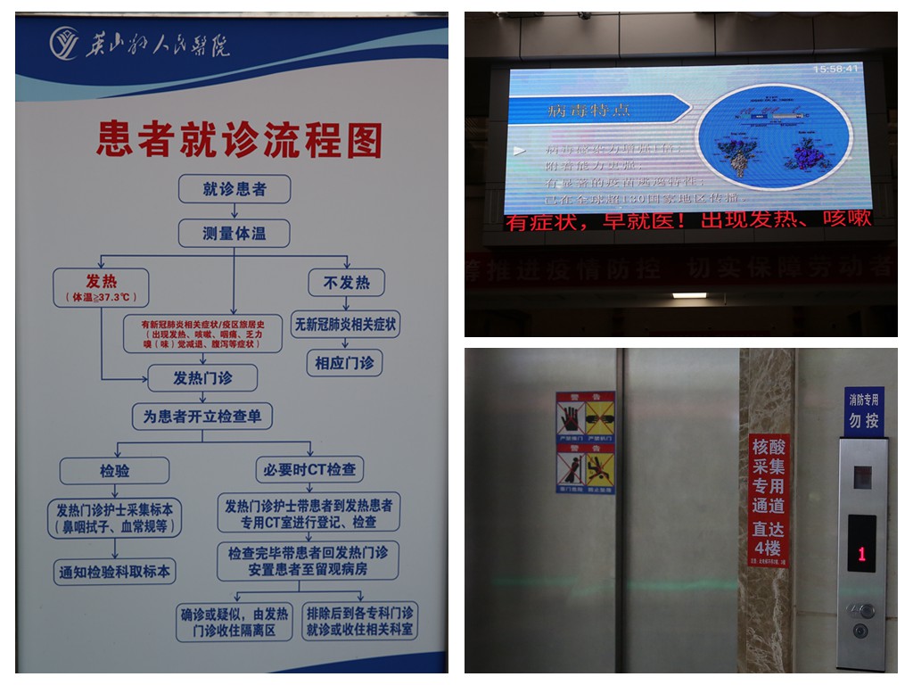 午夜精品白在线观看