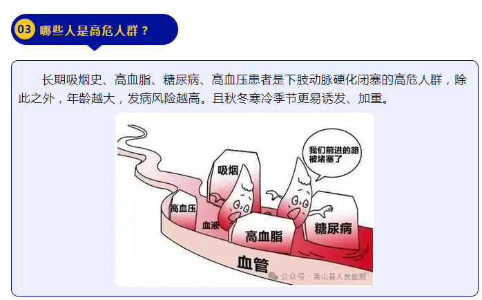 午夜精品白在线观看